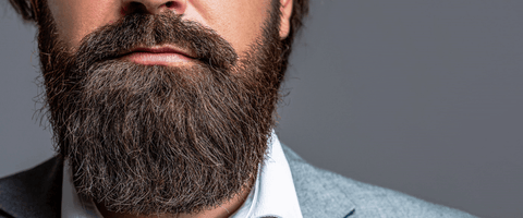 How to Get a Great Looking Beard with Bulldog