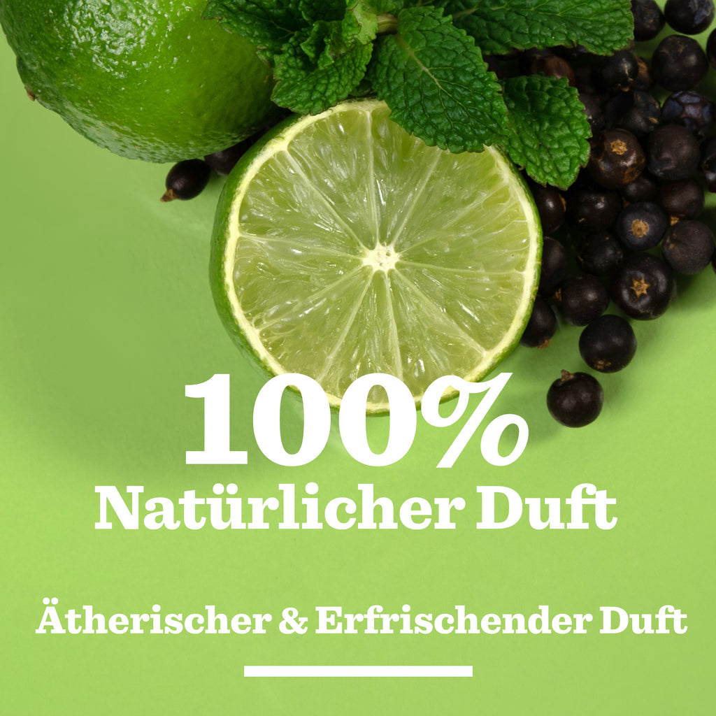 Original Duschgel (300ml)